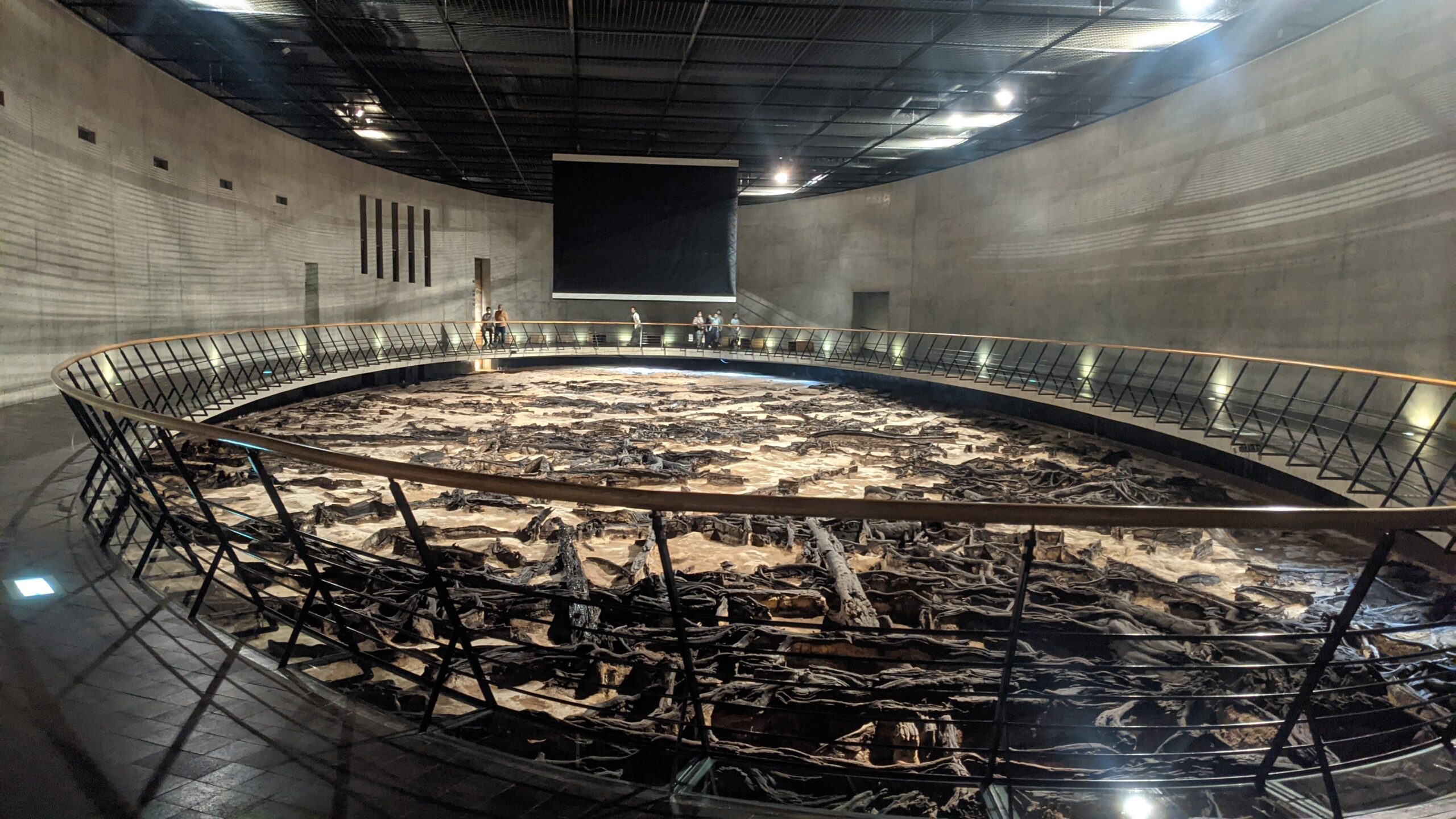 地底の森ミュージアムに行ってきたよ。仙台市富沢遺跡保存館 SENDAI CITY TOMIZAWA SITE MUSEUM - 富沢Navi